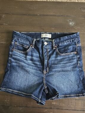 BKE Indigo Blue Denim Cutoff Shorts